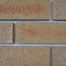 * RAEBURN CADZOW BUFF MULTI FACING BRICKS 65mm