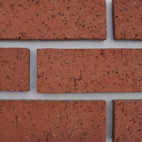 RAEBURN BOTHWELL CASTLE WIRECUT FACING BRICKS - 65mm - RED